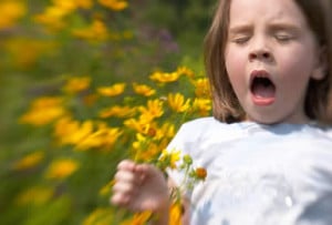 Dust mite | Allergy Symptoms allergy_385x261